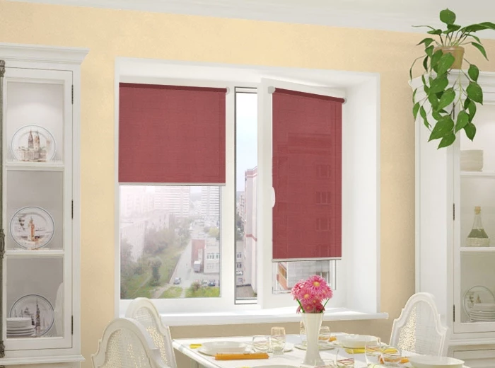 integra slim тэфи 12