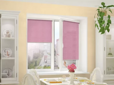 integra slim тэфи 12