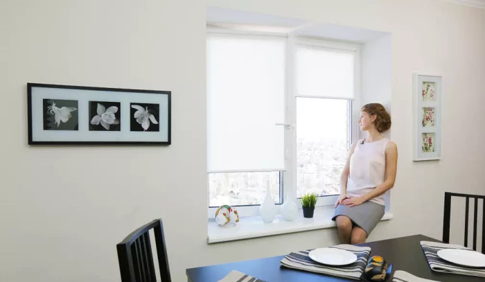 integra slim тэфи 12