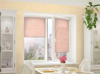 integra slim токио 29