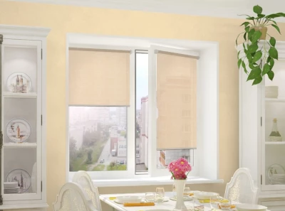 integra slim тэфи 07