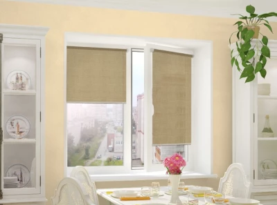 integra slim тэфи 08