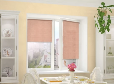 integra slim тэфи 10